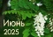 ГЛАВНЫЕ НОВОСТИ